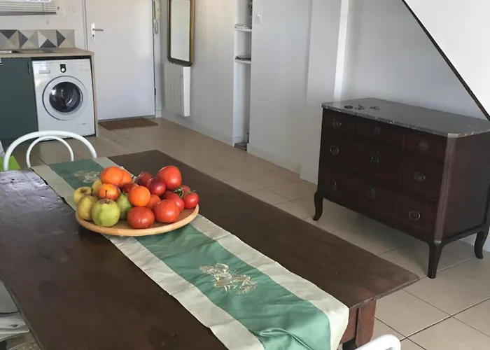 Apartment Salines De Giens *