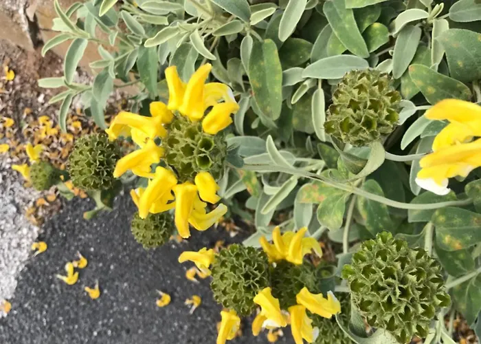 Salines De Giens * Hyères